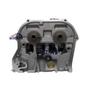 4-Cylinder Gasoline 2.0L Qr20 Complete Cylinder Head for Nissan X-Trail Primera Serena Teana Wingroad Avenir Sentra Engine